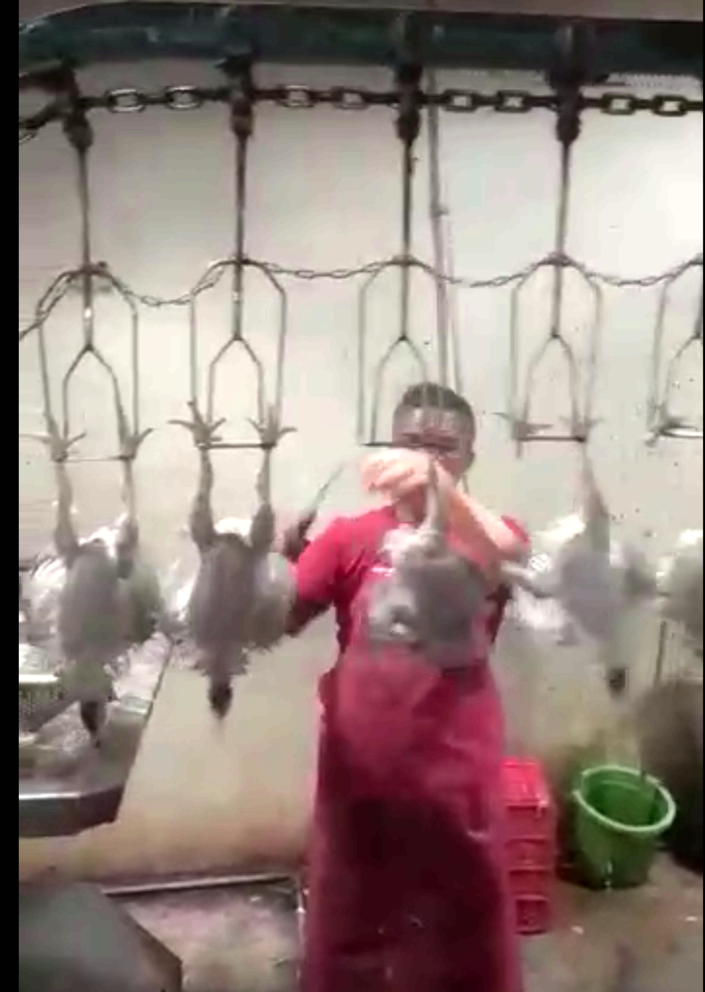 Oven Pengering